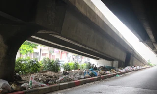 Bất cập rác thải, Hà Nội bàn giao công tác dọn dẹp rác thải về các phường, xã