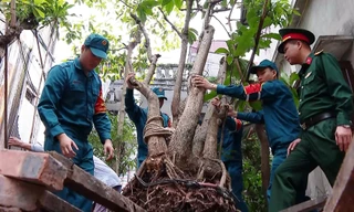 Công bố phương án bồi thường Dự án khẩn cấp đường Vành đai 2,5