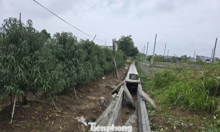 Hà Nội: Đề xuất nhiều lần không được, dân góp tiền, hiến đất làm mương tiêu, vừa xong thì bị yêu cầu đập bỏ 