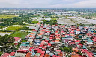 Đất đấu giá xã ngoại thành Hà Nội trúng cao nhất hơn 164 triệu đồng/m2