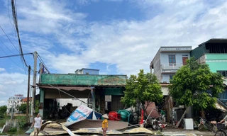 Hà Nội: Tôn bay, cây đổ do giông lốc 