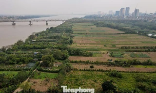 Hà Nội định hướng xây dựng trung tâm công nghiệp văn hóa tầm cỡ ở bãi giữa sông Hồng