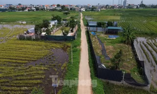 Dự thảo Bảng giá đất mới của Hà Nội: Cần ở mức trung lập