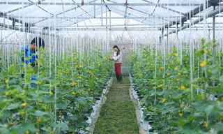 Hà Nội: UBND cấp xã được cấp phép xây dựng trên đất nông nghiệp 