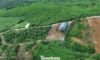 Hà Nội xử lý chủ đầu tư tự ý xây dựng công trình trên đất rừng