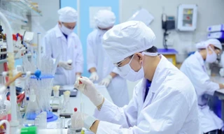 Hà Nội thu hút người tài, hỗ trợ 1.000 lần mức lương cơ sở