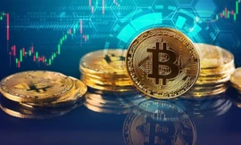 Thứ trưởng Tài chính: Cấp phép tối đa 5 sàn giao dịch tài sản mã hóa 