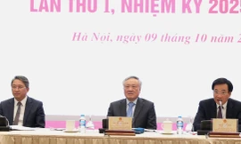 Đảng ủy Chính phủ thực hiện hiệu quả các quyết sách mang tính lịch sử