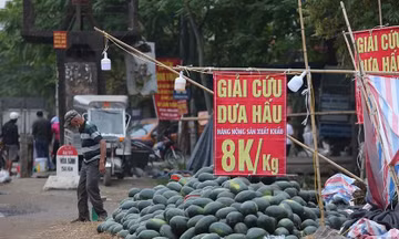 Trái cây siêu rẻ tràn vỉa hè Hà Nội và TPHCM; hàng loạt tivi hạng sang giảm giá ‘kịch sàn’