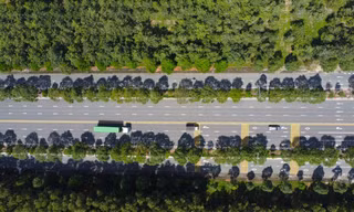 Ngỡ ngàng khu công nghiệp đẹp như một bức tranh 