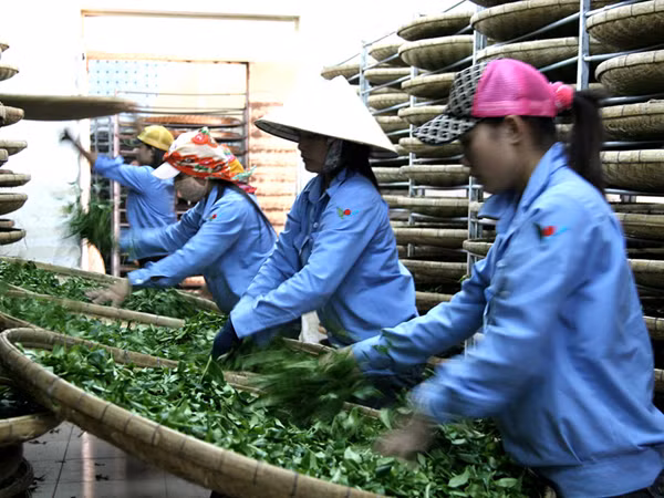 Doanh nghiệp FDI: Vẫn chuyển giá, trốn thuế