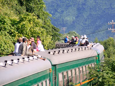 'Phi đội' tiều phu nhảy tàu mưu sinh