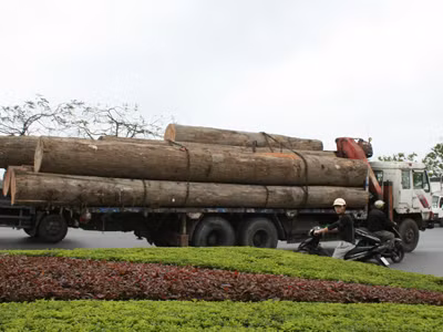 Làm rõ trách nhiệm của Sở Giao thông Hải Phòng