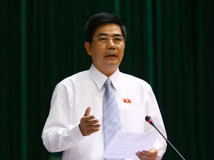 Không cho nước ngoài thuê đất trồng rừng