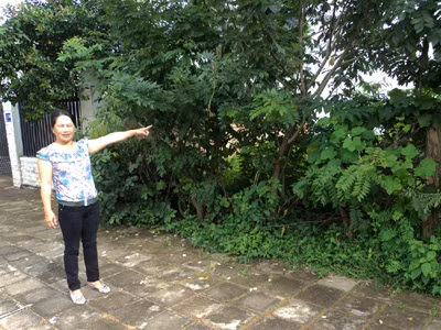 Quan hối lộ dân!?
