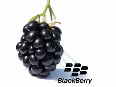 BlackBerry: Khủng hoảng nhưng không mắc nợ