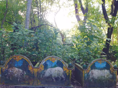 Lăng mộ heo