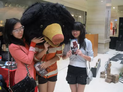 Những người trẻ giữ nhà cho gấu