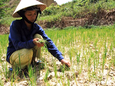 Đà Nẵng sẽ đưa vụ đòi nước thủy điện ra Quốc hội
