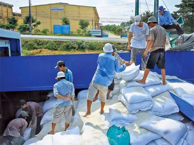 Lúa gạo tăng giá, nông dân thêm quyền mặc cả