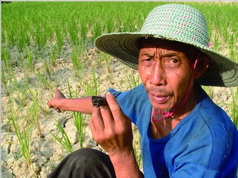 Trung Quốc trước ngưỡng cửa cải cách lịch sử