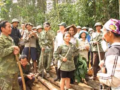 Hàng chục hécta rừng bị tàn phá