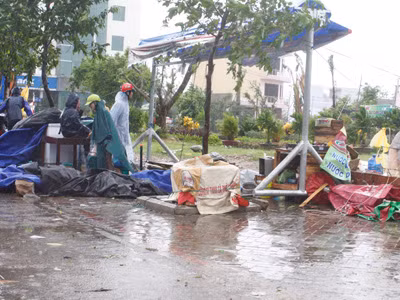 Bão số 11: Quốc lộ 1 tan hoang, ba người ở Quảng Nam tử vong
