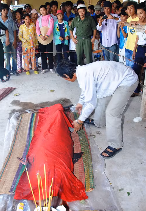Khâm liệm cá ông