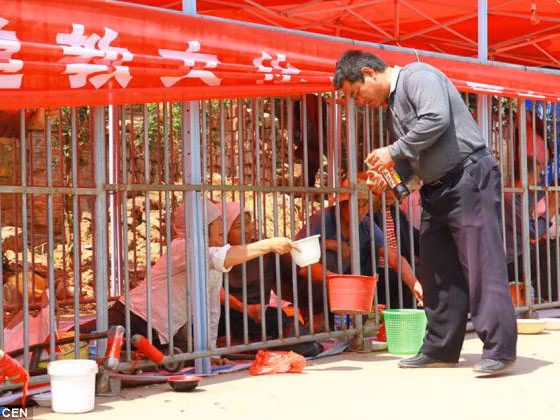 Tự nhốt mình trong lồng sắt để ...ăn xin