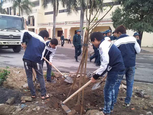 Đoàn viên thanh niên trồng cây xanh tại Cẩm Phả