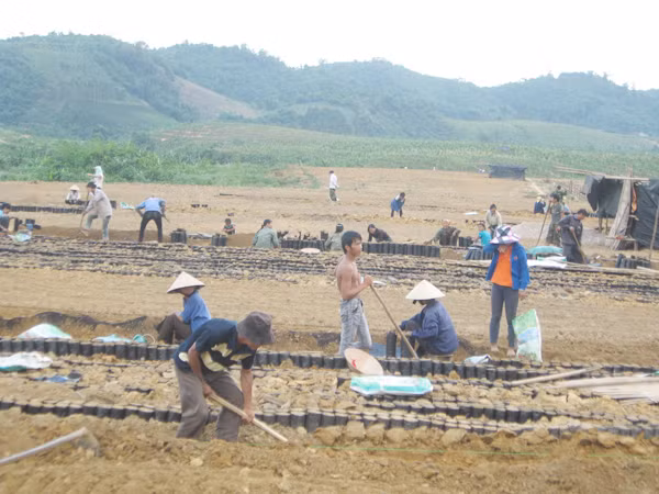 Nông dân xã Thanh Đức (Thanh Chương) mong được thu hồi đất để trở thành công nhân cao su