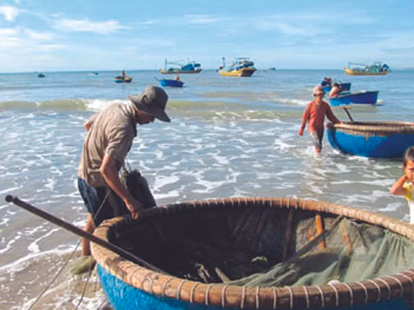 Thuyền thúng đi giũ tôm. Ảnh: M.C
