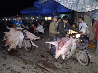 Thịt mất vệ sinh và tù mù chất cấm