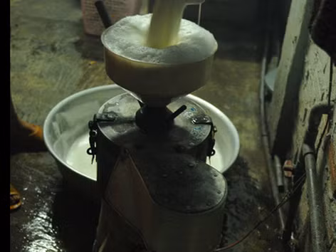 Uống sữa đậu nành mà... run