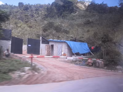 Bất thường trong xử lý trại bò không phép