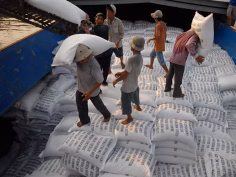 Bấp bênh nông sản xuất khẩu