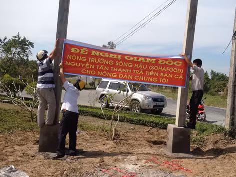 Một năm tôm được thời, cá tra gặp khó
