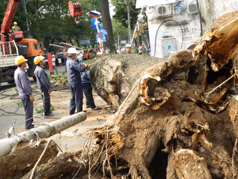 Kỷ luật các 'sếp lương khủng': đúng và kịp thời
