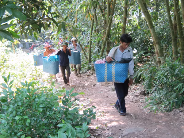 Mười lăm ngày nữa mới thông đường lên núi Cấm