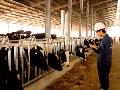 Ra mắt sản phẩm đầu tiên TH true MILK