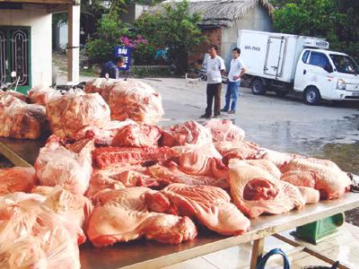 Thịt bẩn ào vào thành phố