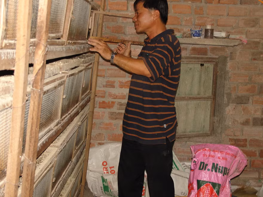 Đề xuất gói tín dụng 9.000 tỷ đồng cứu ngành chăn nuôi