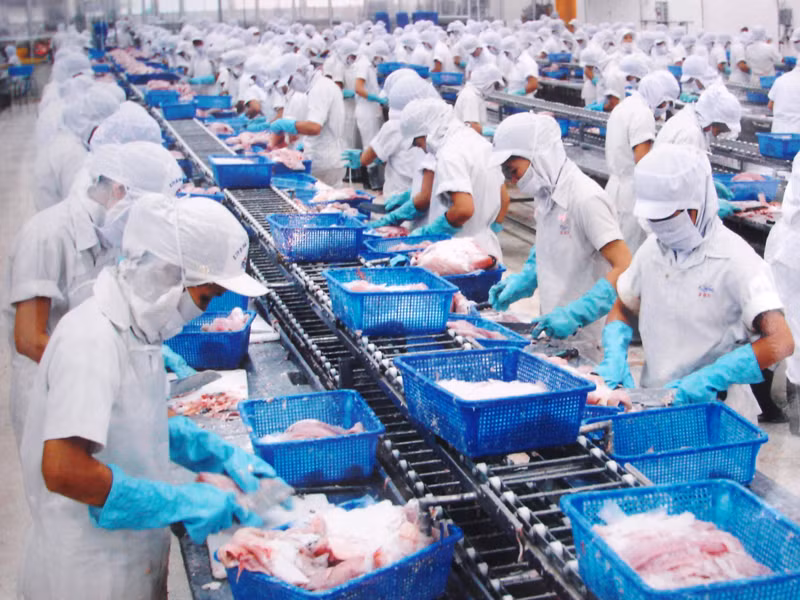 Các quy định bất hợp lý đang là cản ngại đối với mục tiêu xuất khẩu 6,5 tỷ USD Ảnh: Đ.D