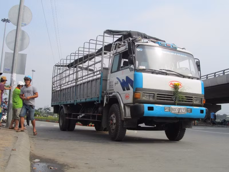 Dừng xe đợi người thân, bị ô tô tải cán chết