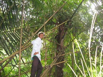 Ngẩn ngơ rượu Giàng