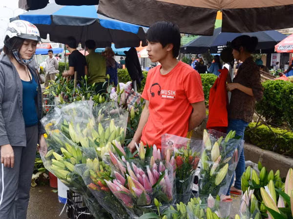 Những bó hoa ly đẹp có giá tiền triệu