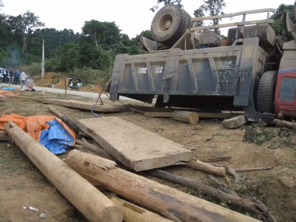 Lời khai trùng hợp của hai kiểm lâm 'hộ tống' xe gỗ lậu