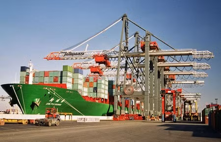 Trung Quốc ngừng nhập nhiều hàng từ Việt Nam