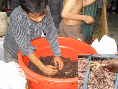 Công nghệ của kẻ vô lương
