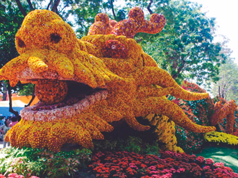 Tràn ngập điểm vui chơi, chương trình giải trí Tết